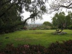 Back-Yard Back-Yard
